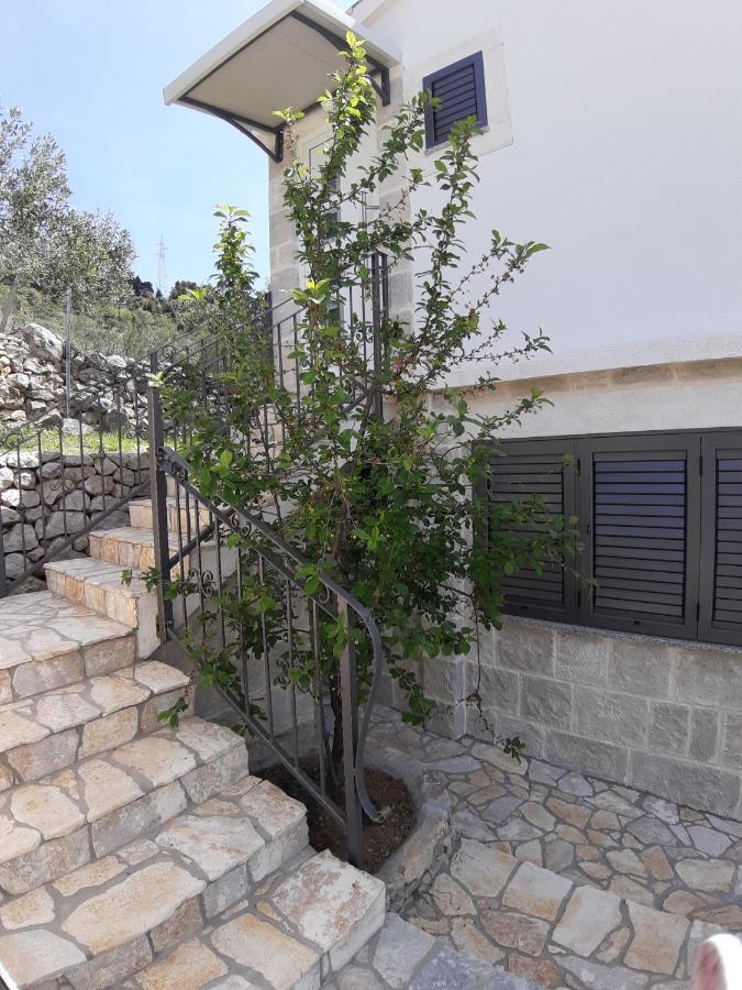 Willa Olive Stone House Makarska Zewnętrze zdjęcie